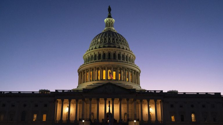 Конгресс США: «сотни демократов» обеспокоены планами Байдена на переизбрание