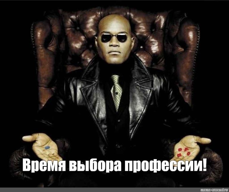 Идеальная работа для каждого знака зодиака: актерское мастерство для Льва, финансы для Тельца