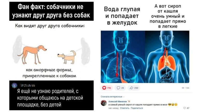 Забавные комментарии, которые как острый соус приправляют сам пост
