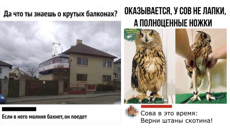 Забавные комментарии, которые как острый соус приправляют сам пост