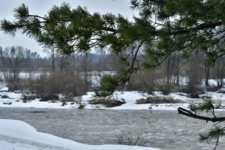 В ночь на среду и утром в Латвии ожидаются кратковременные дожди