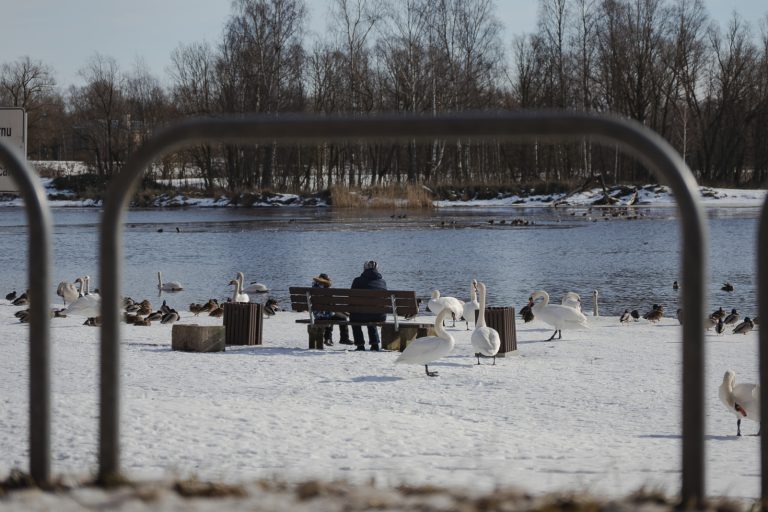 В четверг будет светить солнце