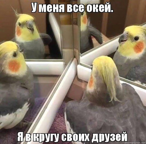 4 знака зодиака, которые предпочитают узкий круг друзей