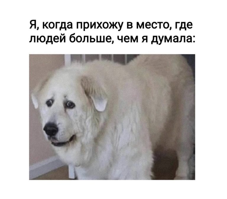 Юмор за день и оверсайз