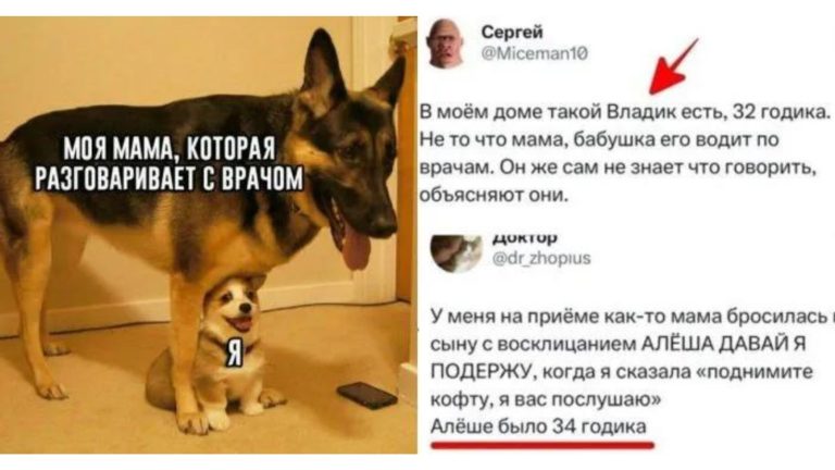 Когда бабушка привела к врачу: истории от медиков про «бытовых инвалидов»