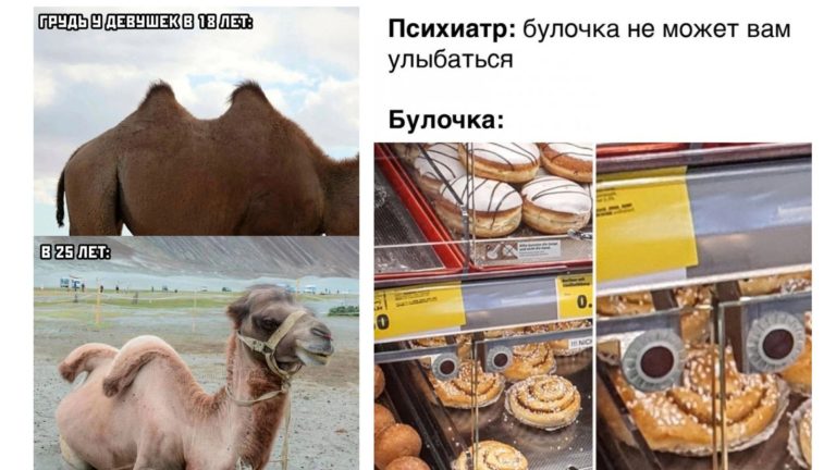Прикольные картинки с надписями и верблюд