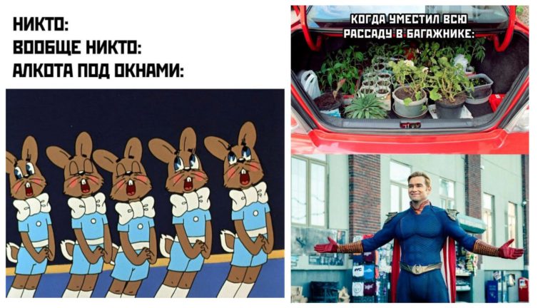 Прикольные картинки с надписями и концерт под окнами