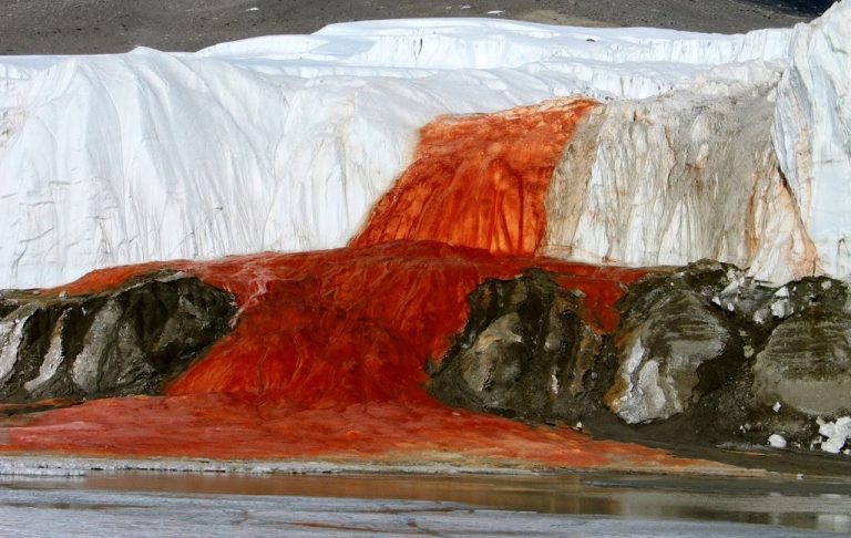 Ученые разгадали тайну кровоточащих водопадов
