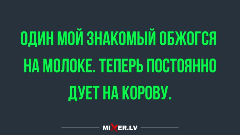 Юмор за день и корова