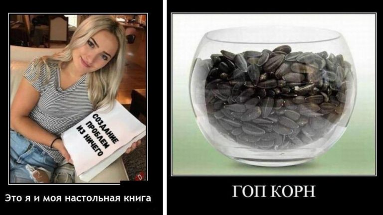 Новые демотиваторы и гоп корн