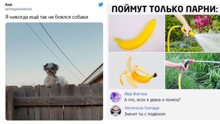 Забавные комментарии, которые как острый соус приправляют сам пост