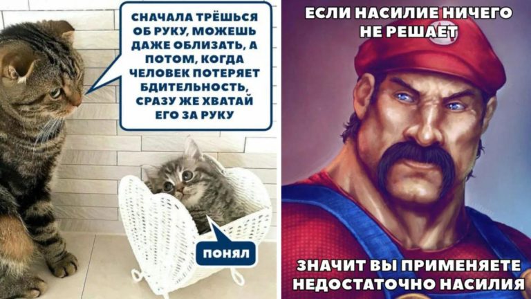 Хочешь, чтобы голодных стало меньше — сходи поешь: максимально нелепые советы из сети