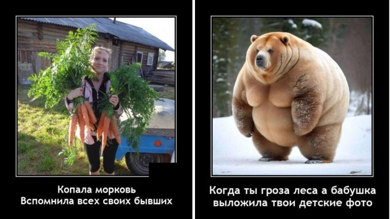 Новые демотиваторы и вспомним о бывших