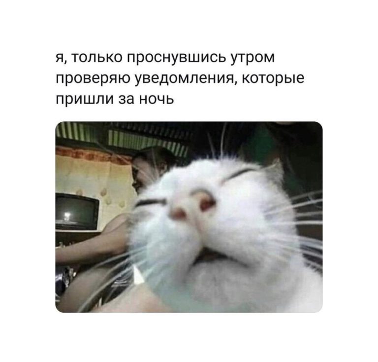 Юмор за день и азиатские девушки