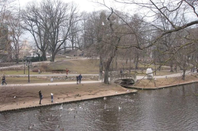 В Рижском городском канале обнаружено вещество неизвестного происхождения
