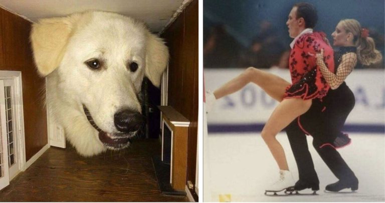 20 фотографий с большим подвохом, на которые нужно взглянуть дважды