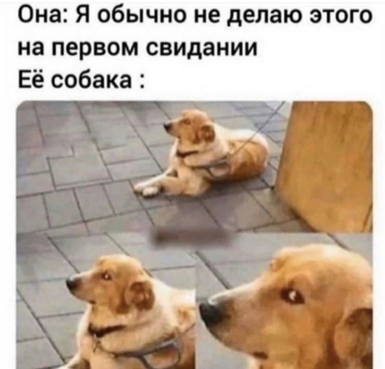 Юмор за день и полторашка