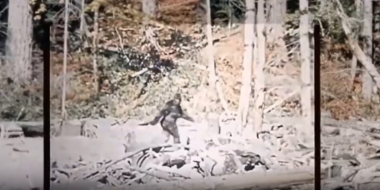 Знаменитые кадры со снежным человеком стабилизированы с помощью ИИ