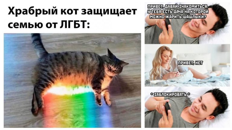 Прикольные картинки с надписями и кот — защитник