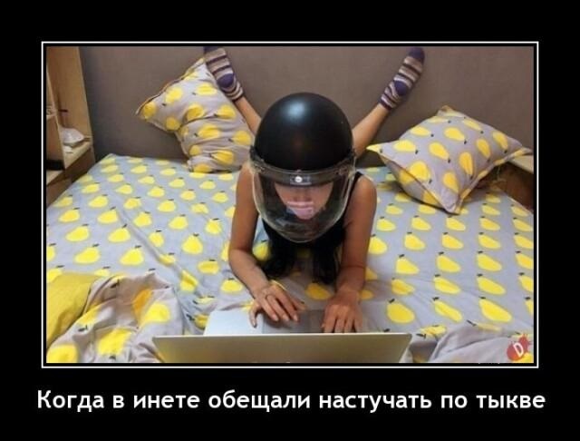 Новые демотиваторы и настучать по тыкве