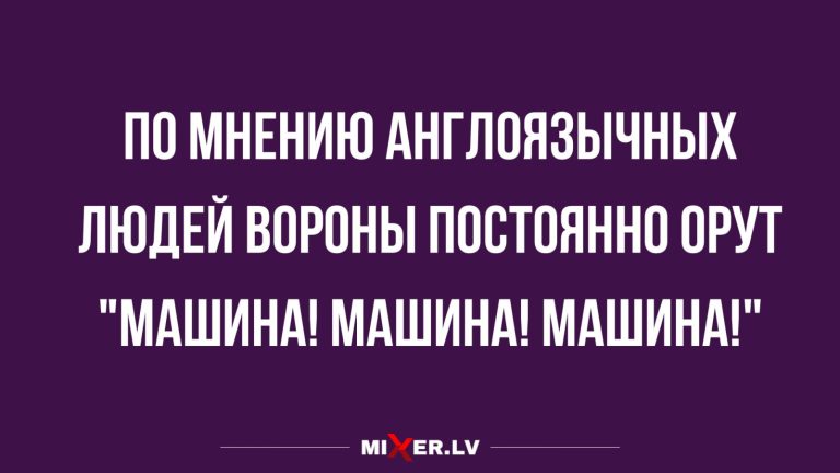 Юмор за день и что кричат вороны