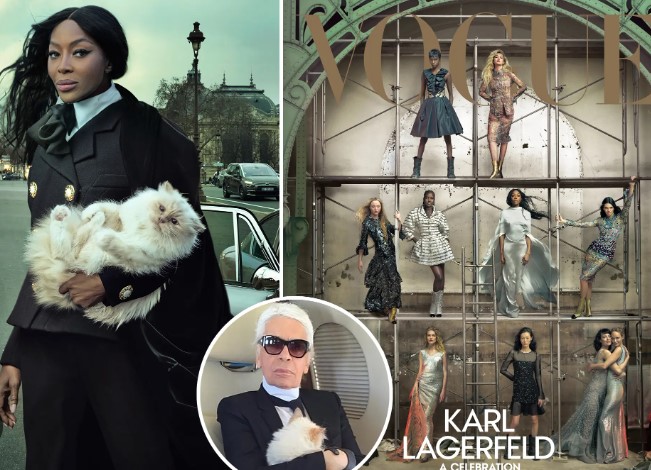Кошка и любимые модели Лагерфельда появились вместе в журнале Vogue