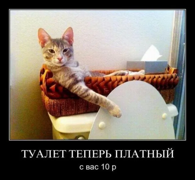 Новые демотиваторы и платный туалет