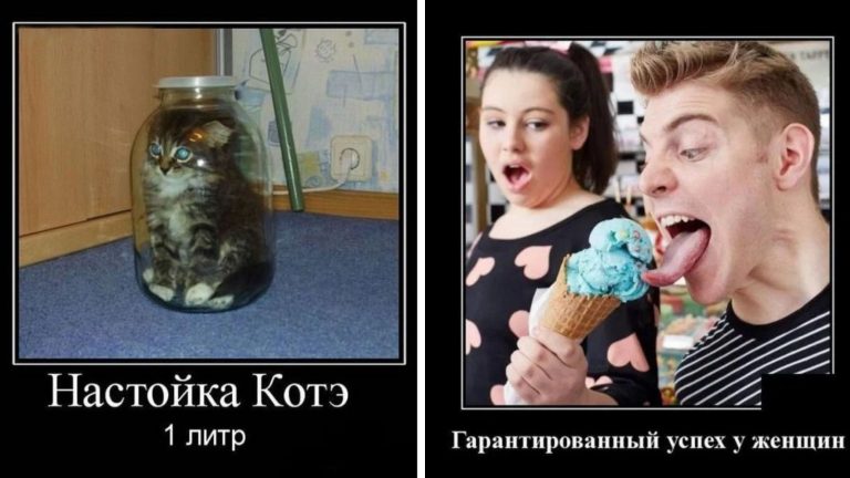 Новые демотиваторы и успех у женщин