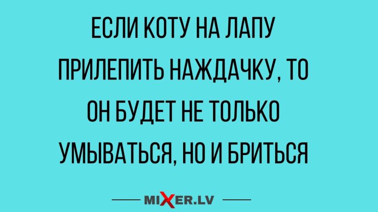 Юмор за день, Костя и Анюта
