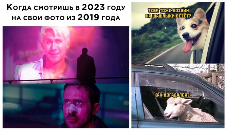 Прикольные картинки с надписями и поездка на шашлыки