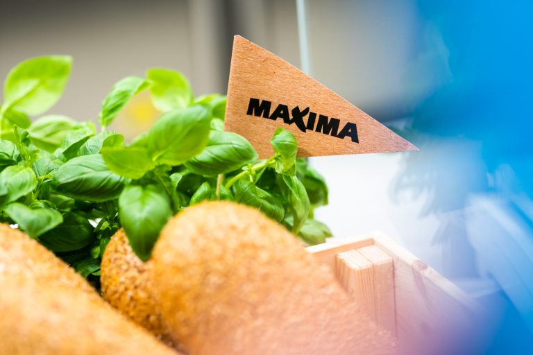 Почти 700 наименований: Maxima запускает в странах Балтии новый доступный бренд Well Done