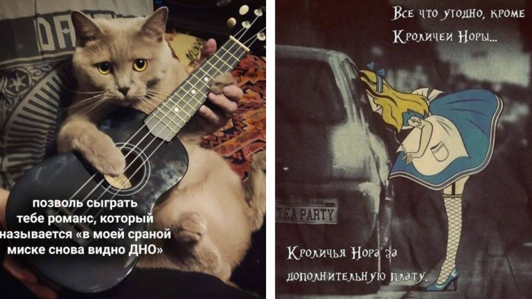 Прикольные картинки с надписями и кроличья нора