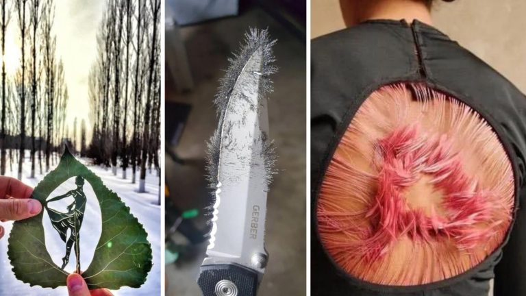 15 фото, которые без нейросетей и Photoshop привлекают внимание