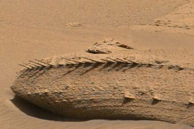 Марсоход NASA нашел камень, похожий на скелет «марсианского дракона»