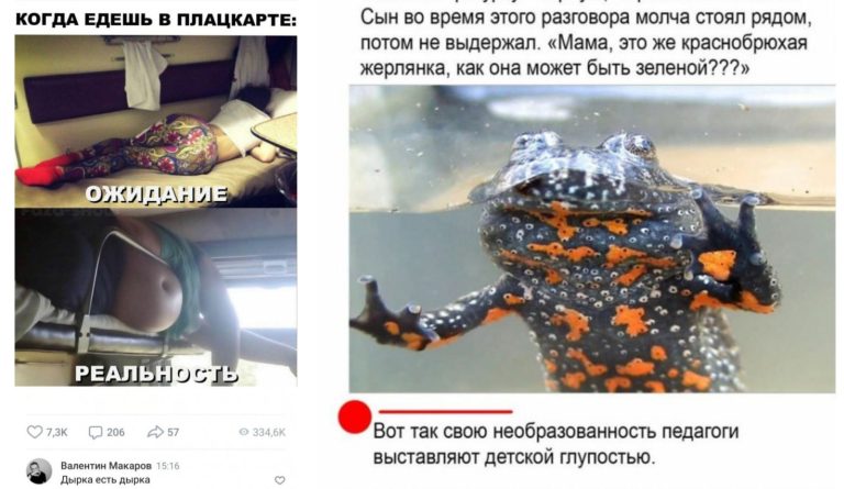 Забавные комментарии, которые как острый соус приправляют сам пост