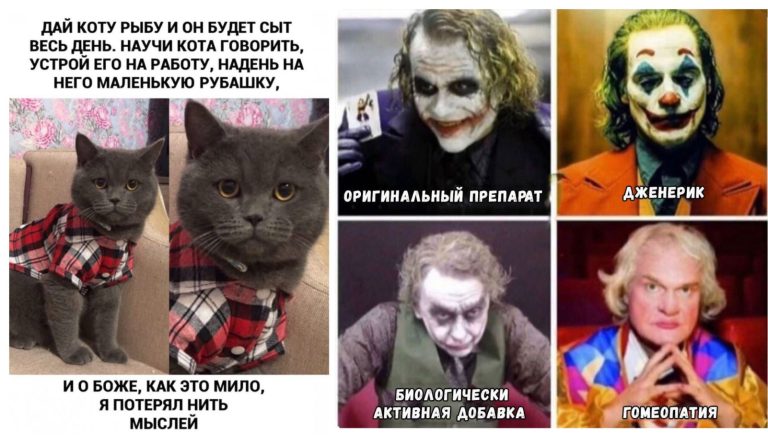 Прикольные картинки с надписями и котик в рубашечке