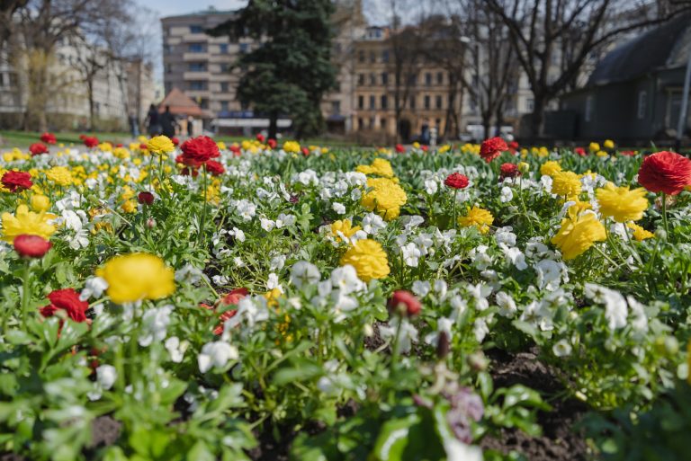 В воскресенье в Латвии будет по-настоящему тепло: +22 градуса