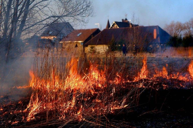 ГПСС: за сутки произошло 29 пожаров прошлогодней травы