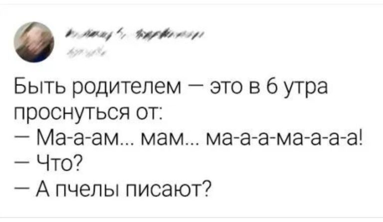 А пчелы писают? Подборка удивительных перлов от детей