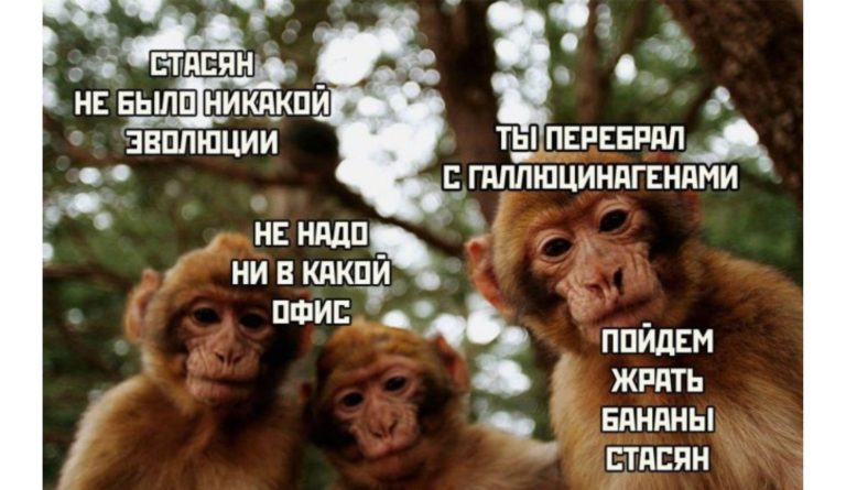 Прикольные картинки с надписями и небыло никакой эволюции