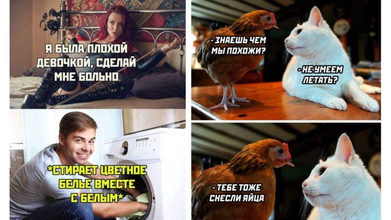 Прикольные картинки с надписями и цветное с белым