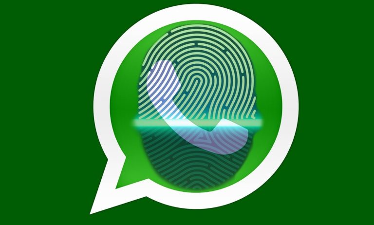 Защита чатов с помощью отпечатка пальца - в WhatsApp появится новая функция