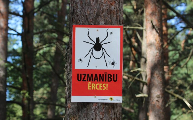 В Латвии проснулись клещи