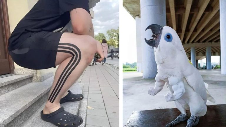 Коллекция фотографий, на которых творится какая то дичь