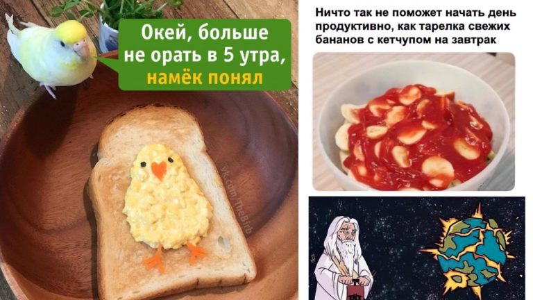 Прикольные картинки с надписями и ор в 5 утра
