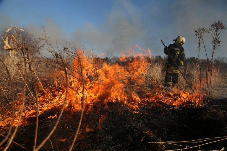 Вчера было потушено 22 пожара прошлогодней травы