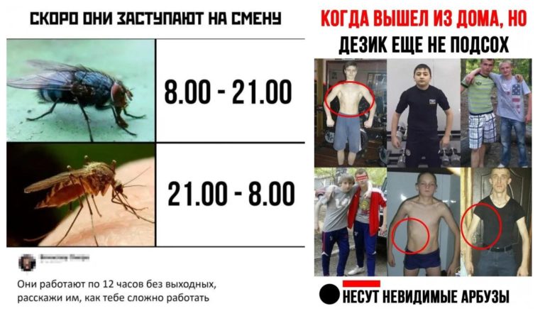 Забавные комментарии, которые как острый соус приправляют сам пост