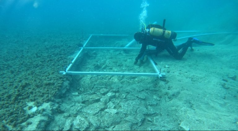 На дне Адриатического моря нашли каменную дорогу эпохи неолита