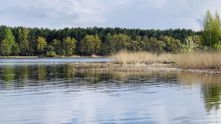 Вода в реках местами потеплела до +15 градусов. А в Лиелупе и вовсе до +18