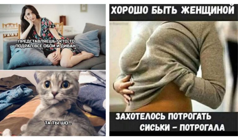 Прикольные картинки с надписями и кто подрал диван